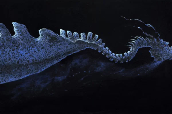 Tableau d'un dragon bleu aux yeux rouges dans l'eau