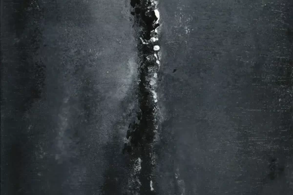 peinture en noir et blanc d'un dragon traversé d'un éclair