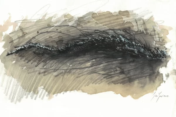 Dessin aquarellé d'un dragon d'influence asiatique
