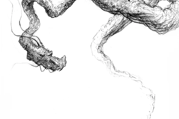 Dessin d'un dragon d'inspiration asiatique
