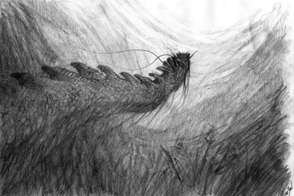Dessin d'un dragon d'eau d'inspiration asiatique remontant vers la surface