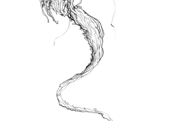 Dessin au crayon d'un dragon stylisé