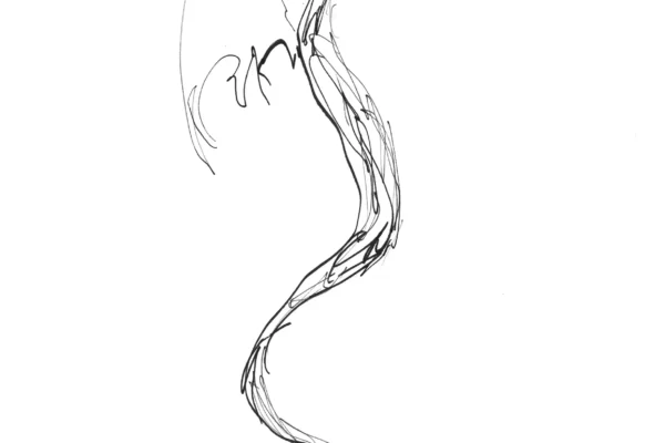 Dessin d'un dragon stylisé au feutre noir