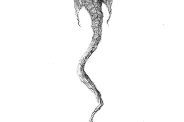 Dessin d'un dragon d'eau ailé remontant vers la surface