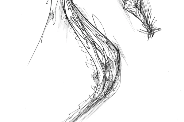 Dessin au feutre d'un dragon stylisé