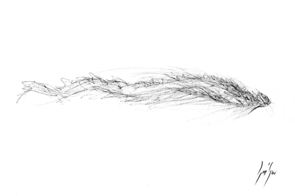 Dessin d'un dragon au stylo bille noir