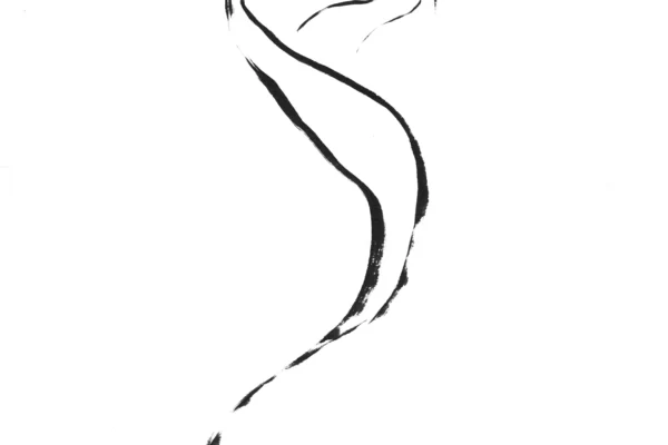 Dessin à l'encre de chine d'un dragon stylisé