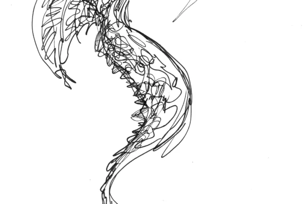 Dessin au feutre d'un dragon stylisé