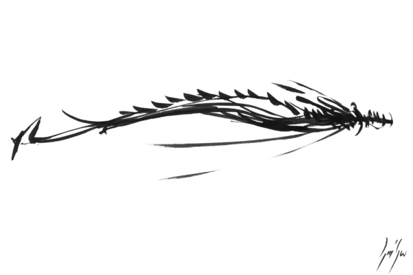 Dessin à l'encre d'un dragon stylisé