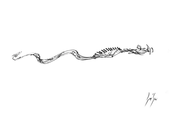 Dessin au feutre d'un dragon stylisé
