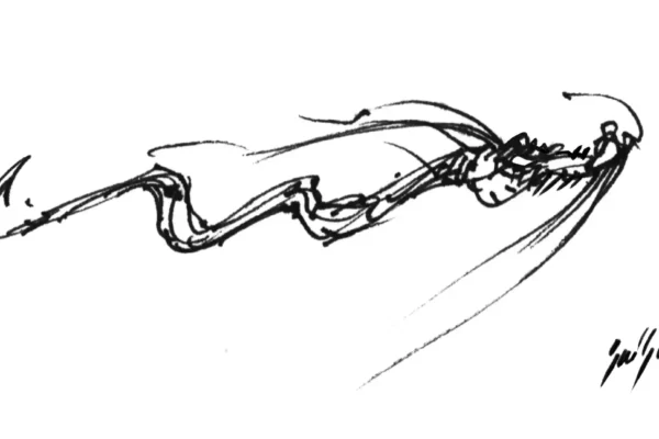 Dessin au feutre d'un dragon stylisé