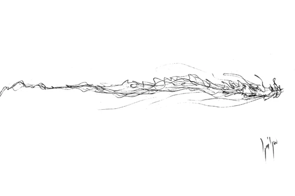 Dessin au feutre d'un dragon stylisé