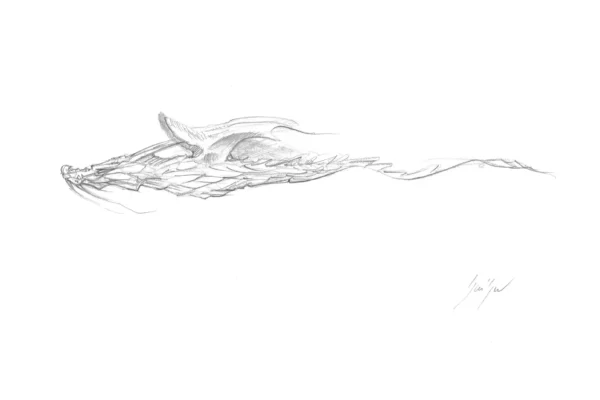 Dragon ailé stylisé